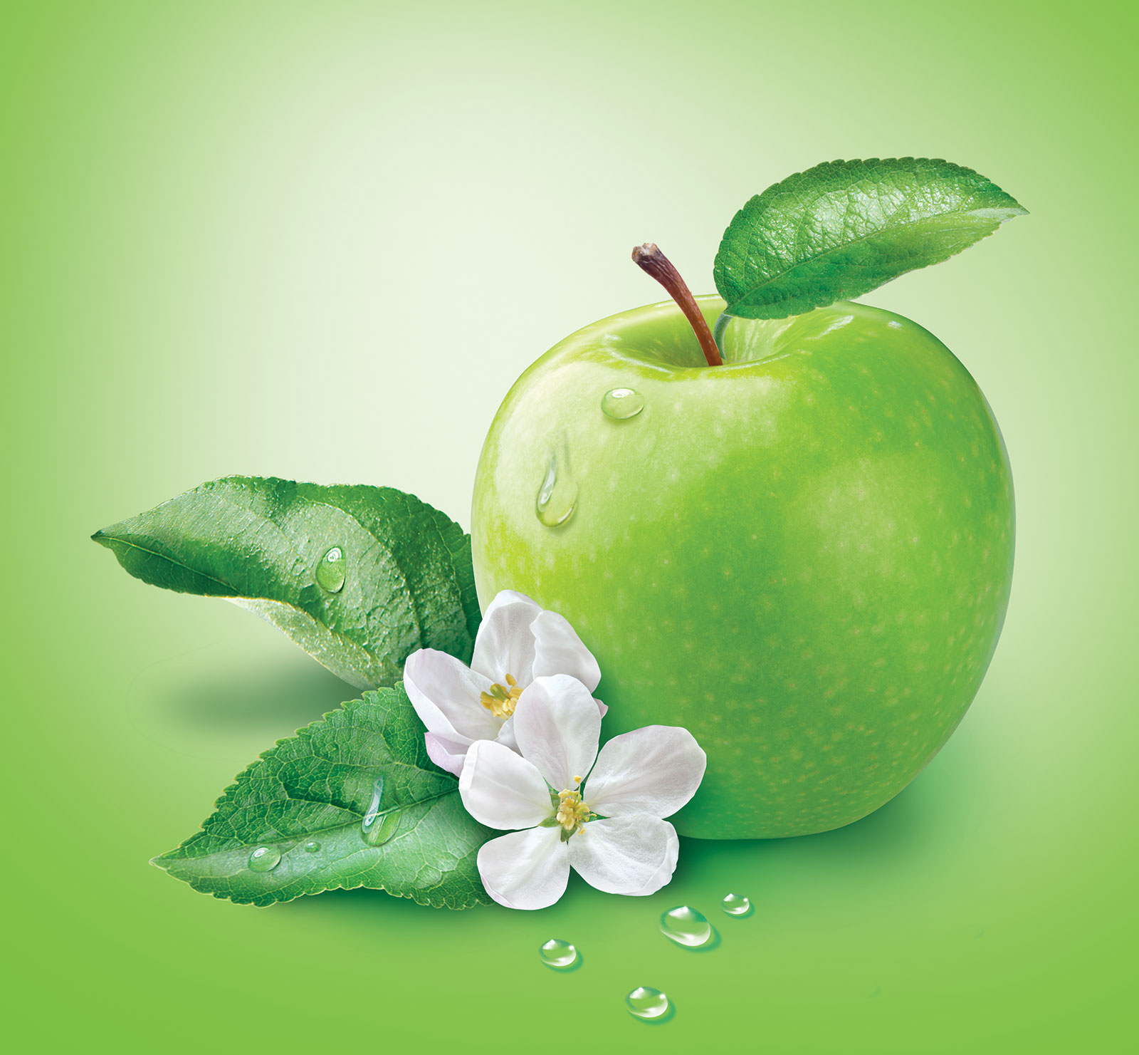 09 apple and blossoms
