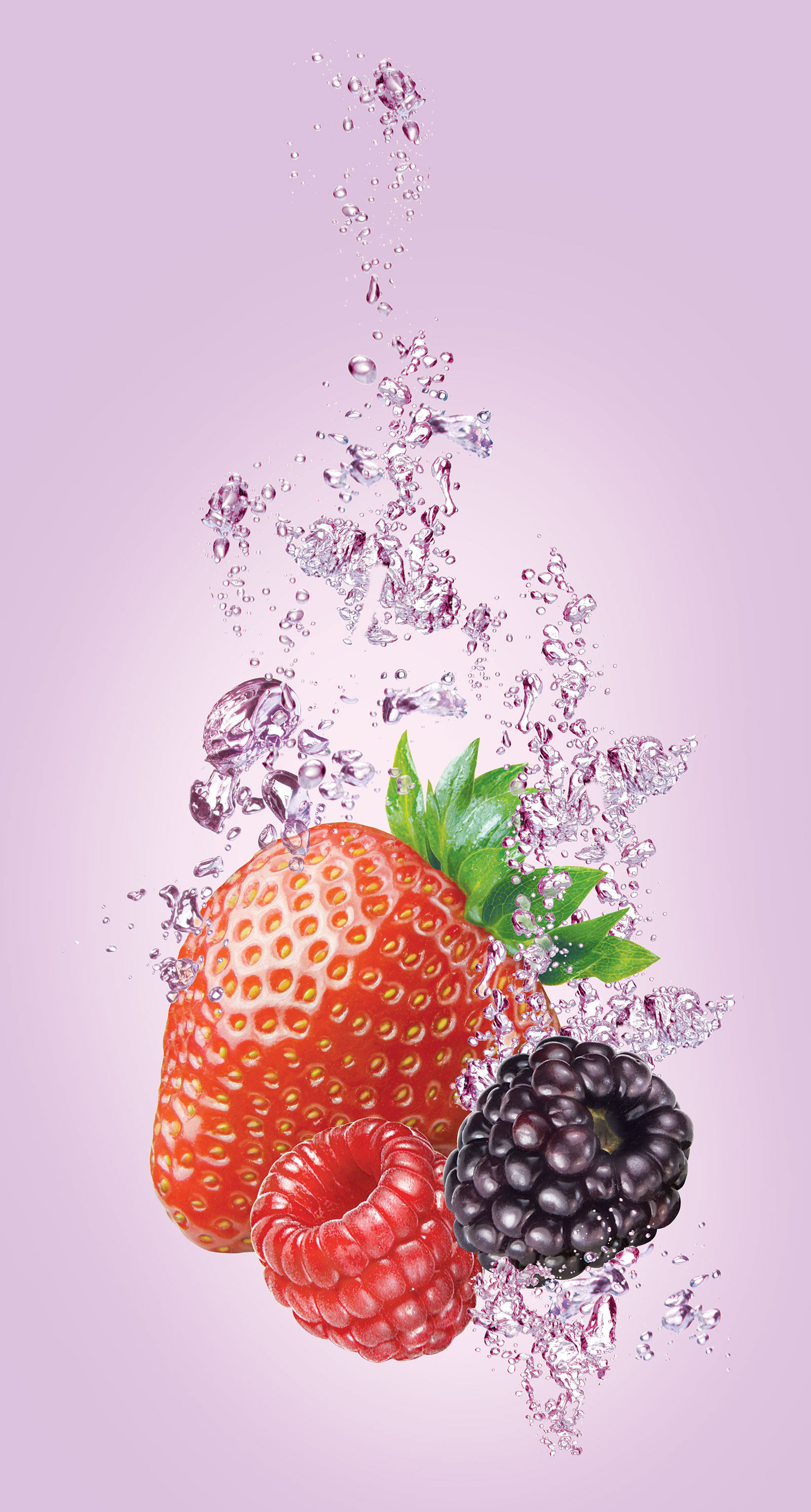 17 berries underwater
