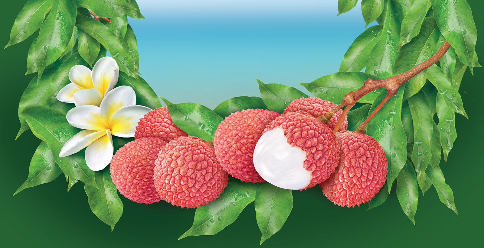 19 lychees on branches