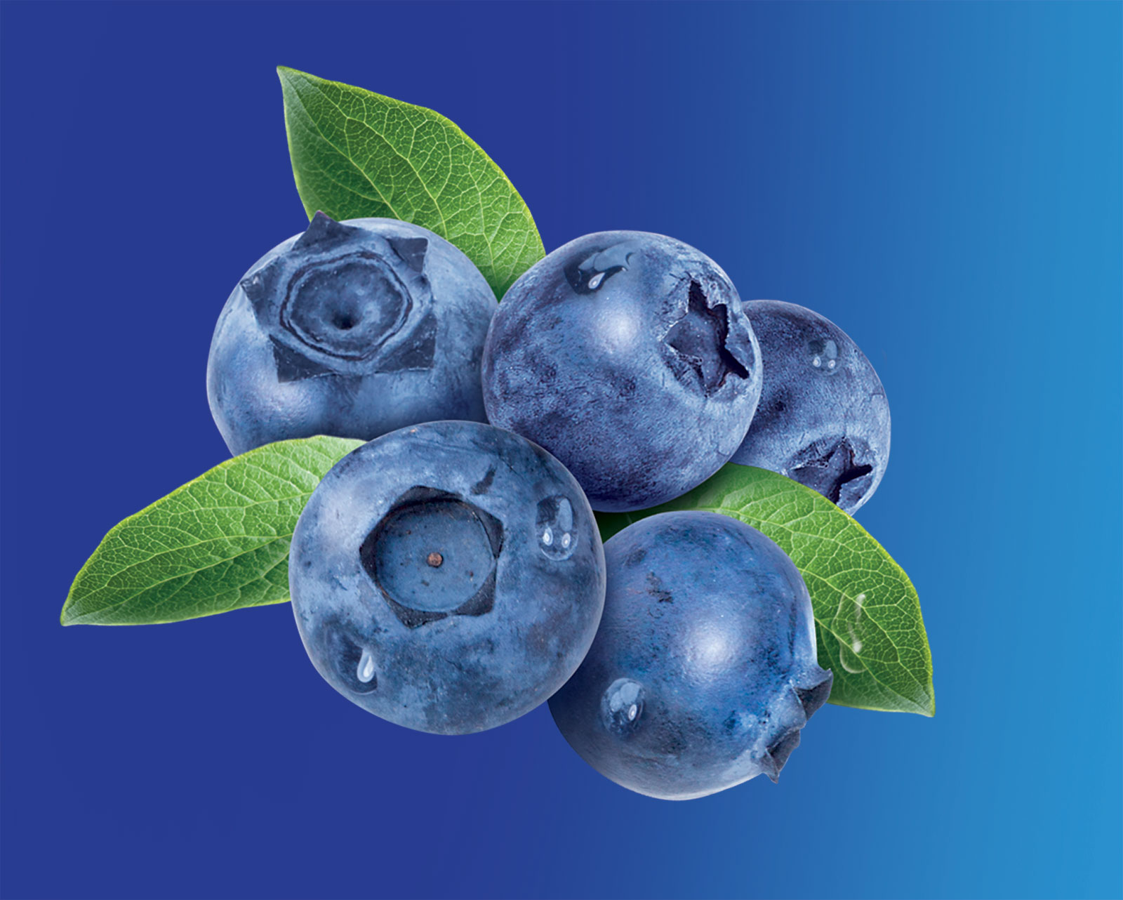 24 blueberries